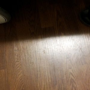 Meet your Posher, Steven